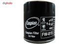 فیلتر روغن خودرو کاسپین مدل FW-815 مناسب برای سمند