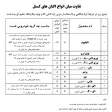 اکتان بوستر کستل مدل توربو اکس 300 حجم 260 میلی لیتر